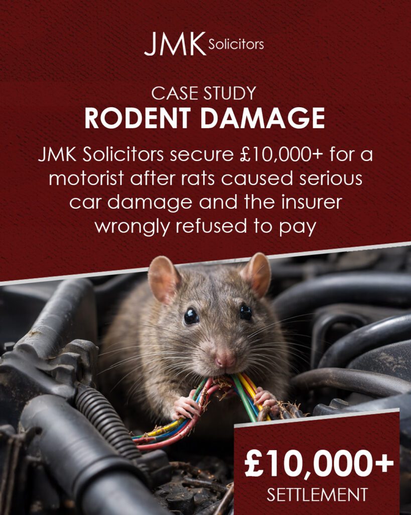 Rodent Damage in Car
