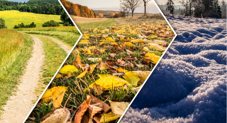 Seasons Autumn Driving Tips